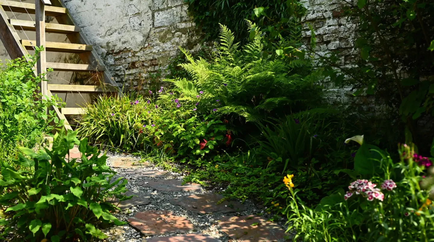 Tuinontwerp en aanleg