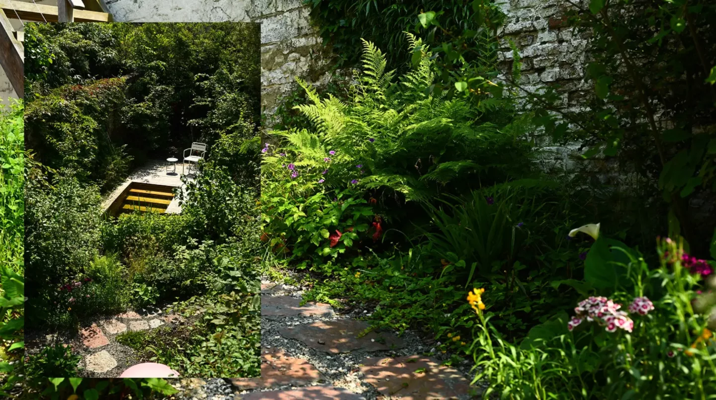 Tuinontwerp en aanleg