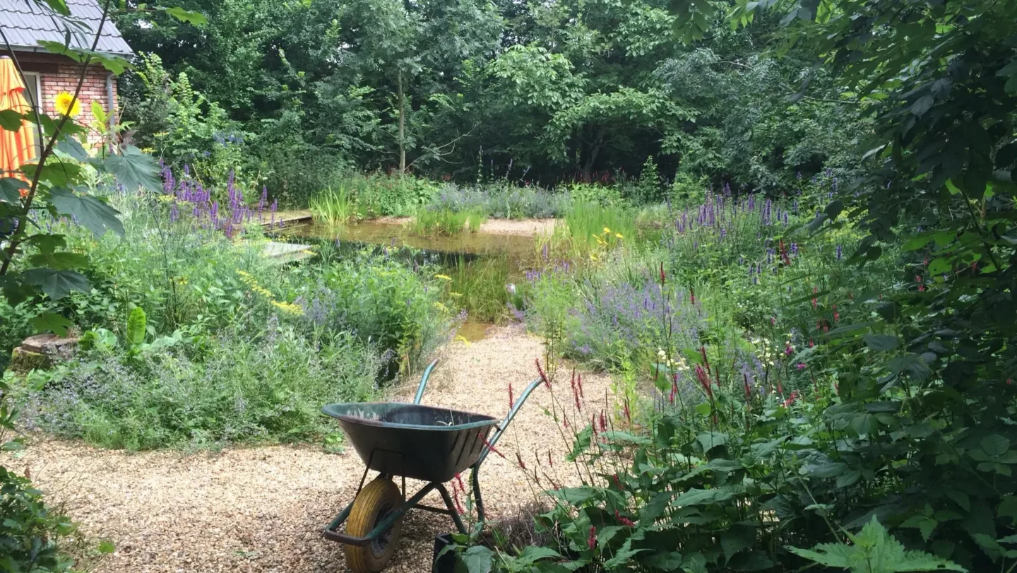 Zwemvijvers, slim gebouwd, mooi ontworpen