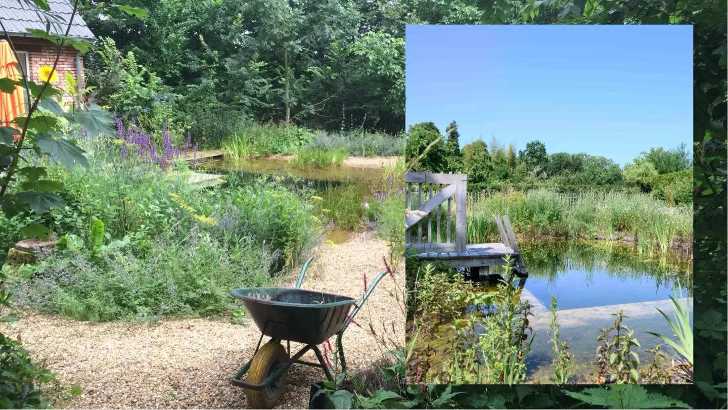 Zwemvijvers, slim gebouwd, mooi ontworpen