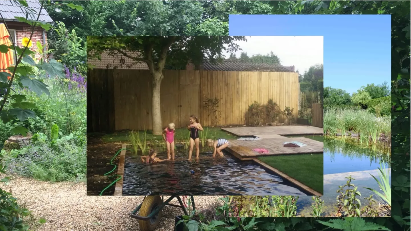 Zwemvijvers, slim gebouwd, mooi ontworpen