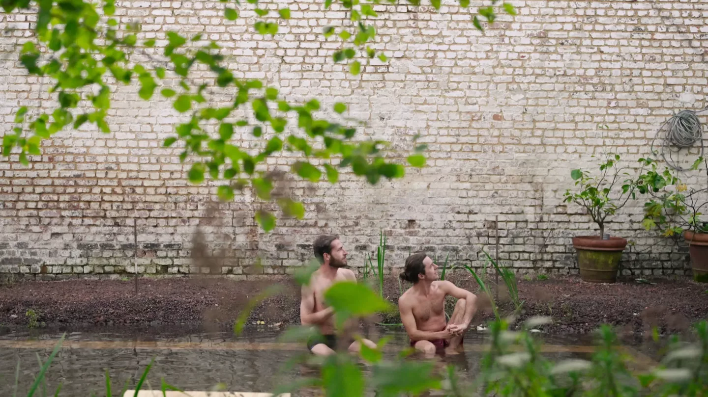 Zwemvijvers, slim gebouwd, mooi ontworpen