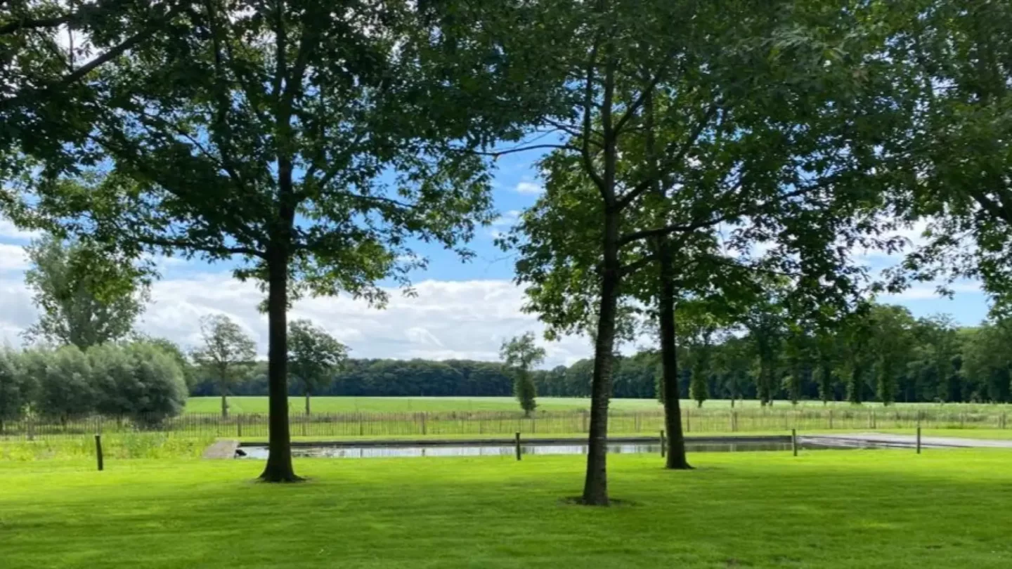 Zwemvijvers, slim gebouwd, mooi ontworpen