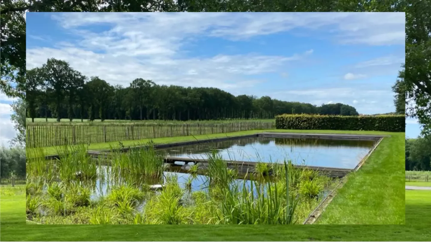 Zwemvijvers, slim gebouwd, mooi ontworpen