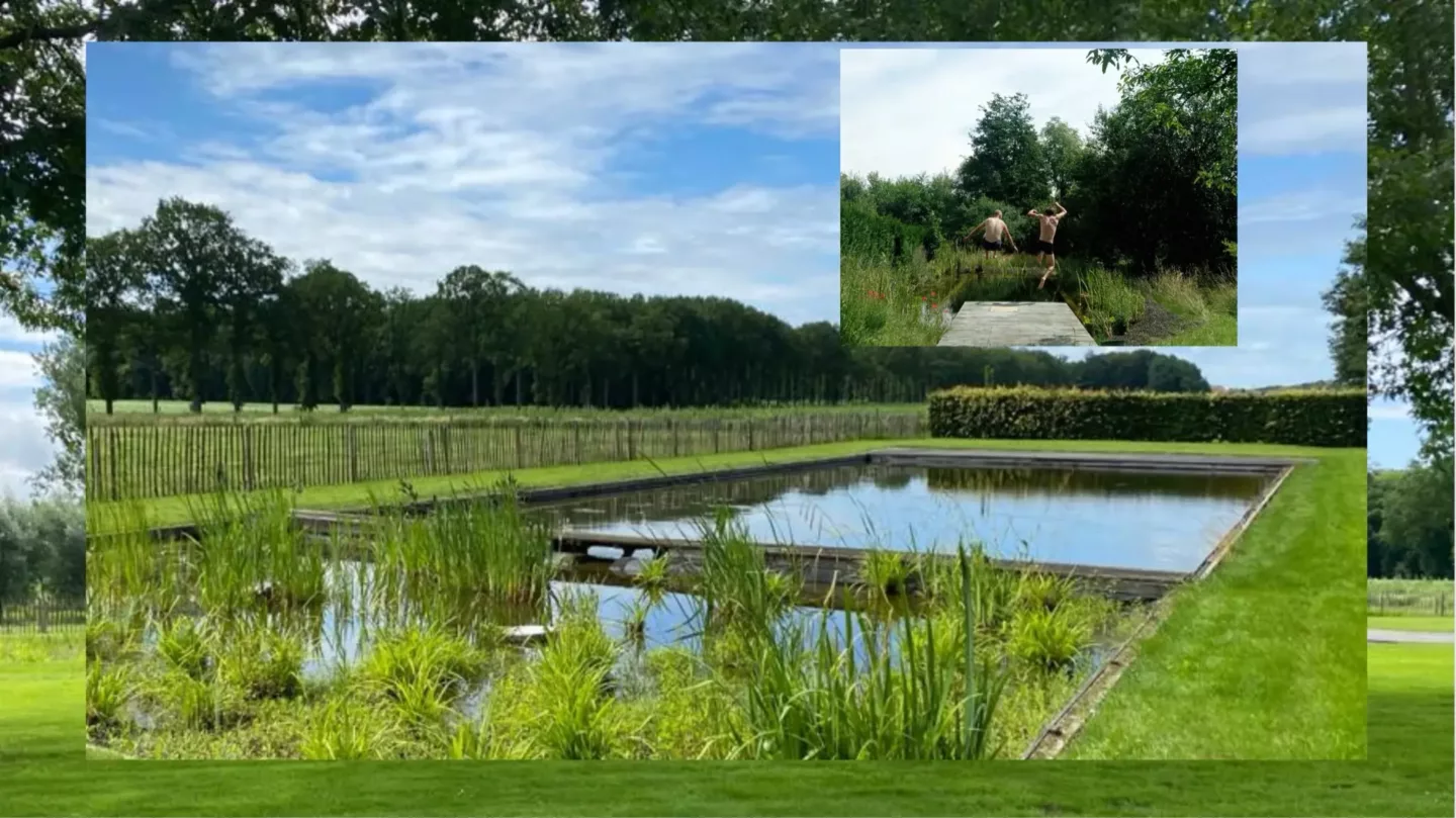 Zwemvijvers, slim gebouwd, mooi ontworpen