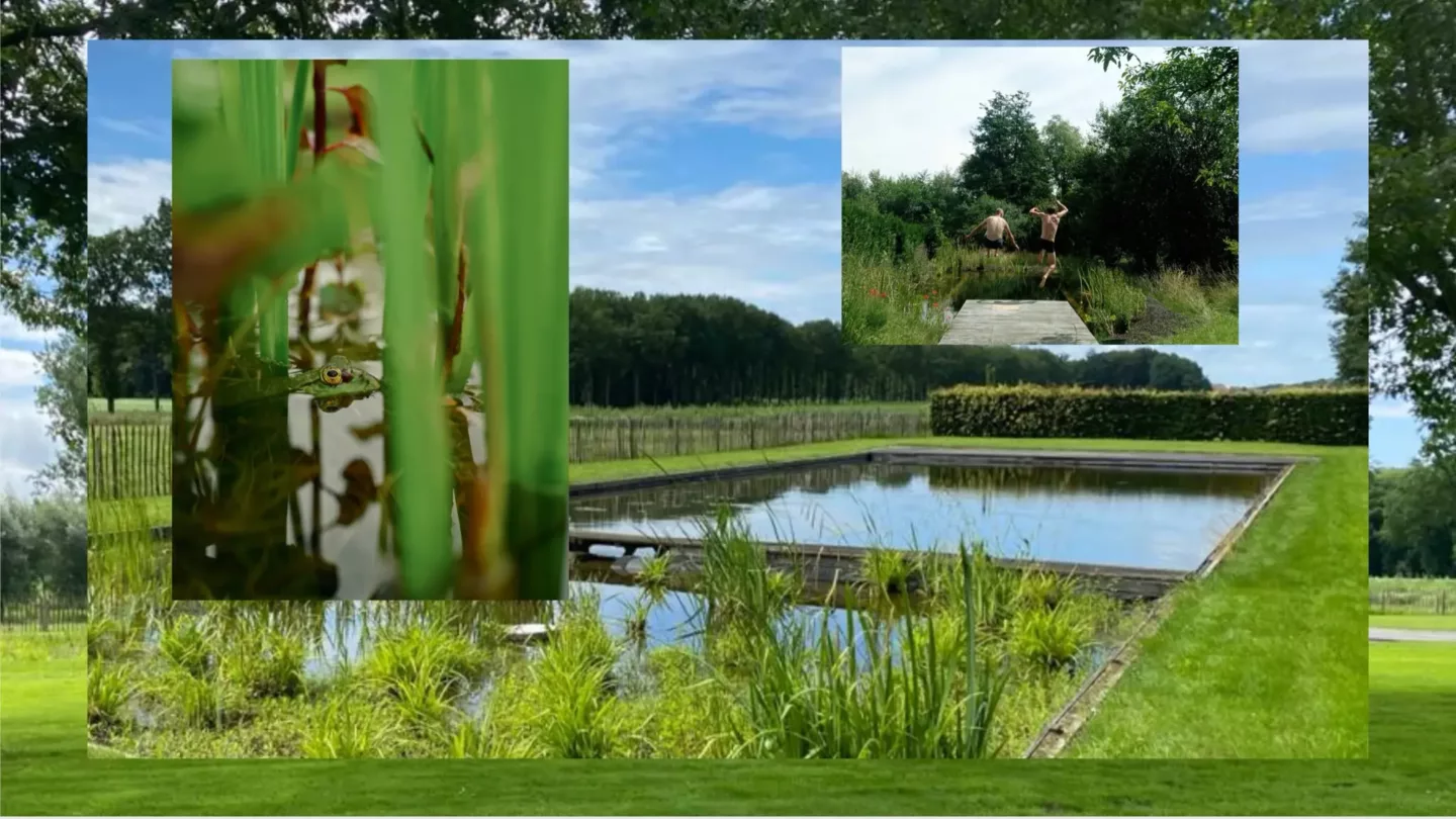 Zwemvijvers, slim gebouwd, mooi ontworpen