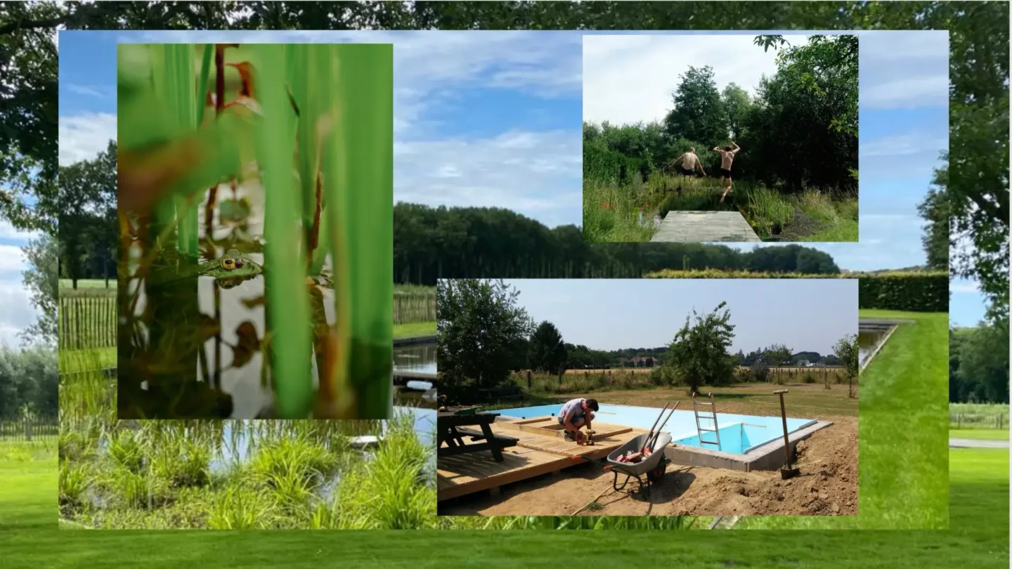 Zwemvijvers, slim gebouwd, mooi ontworpen