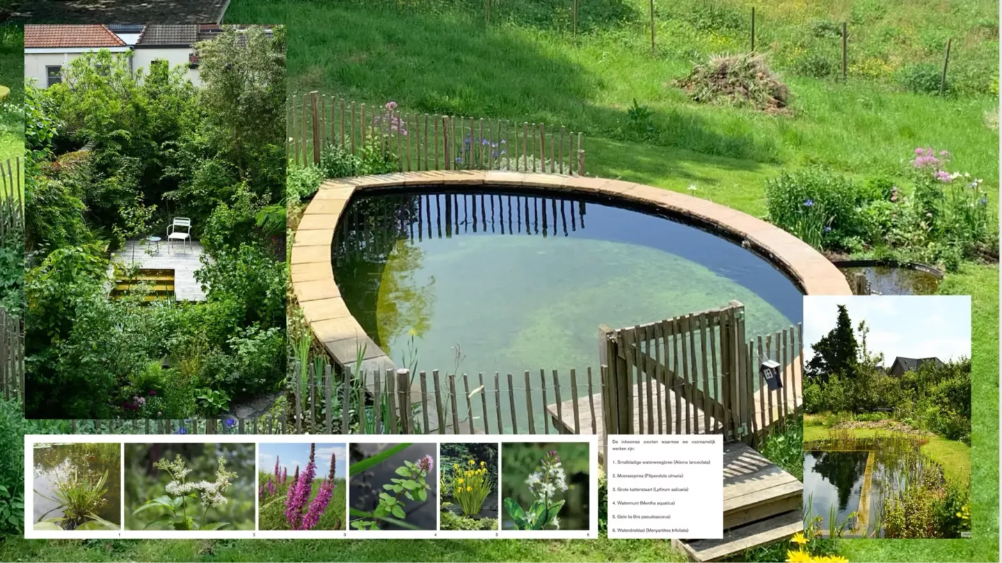 Van idee tot realisatie – onze werkwijze