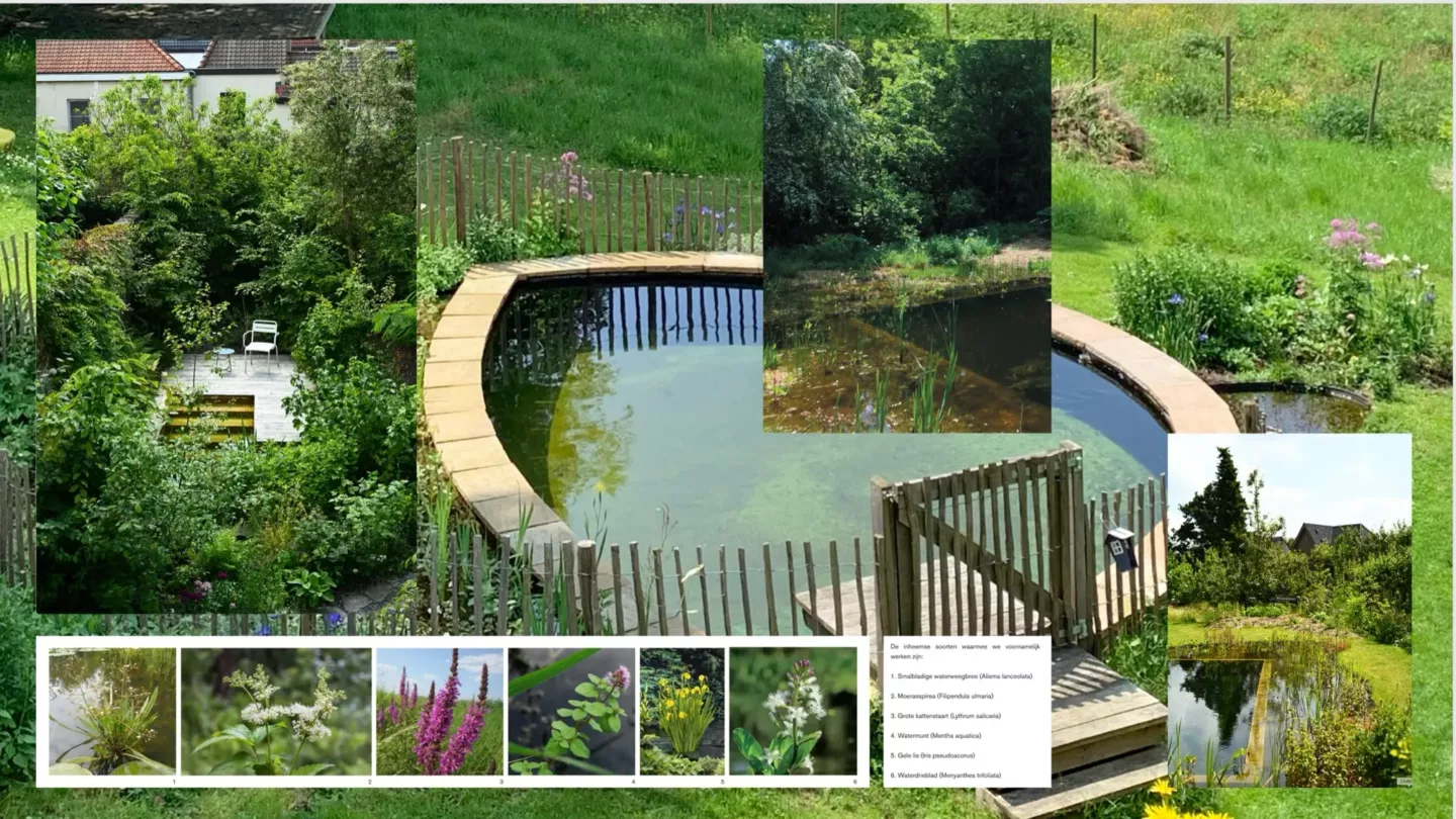 Van idee tot realisatie – onze werkwijze